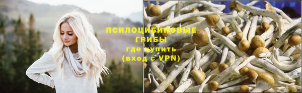эйфоретик Богданович