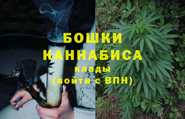 эйфоретик Богданович