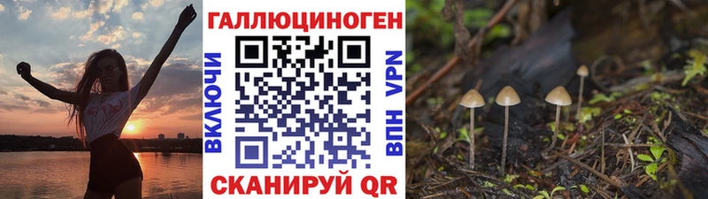 Галлюциногенные грибы ЛСД  Кушва 
